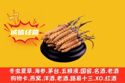 东丰县回收冬虫夏草